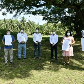 Legalizan 78.27 hectáreas de&nbsp;mangle