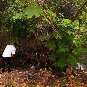 Denuncia por contaminación en el Lago de Petén&nbsp;Itzá