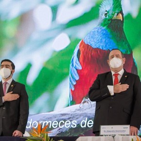 Guatemala lanza tres estrategias para proteger la fauna&nbsp;silvestre