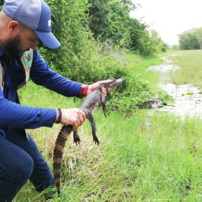 Liberación de fauna en la Costa&nbsp;Sur