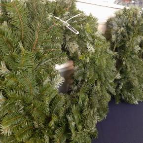 Dona tu pinabete al&nbsp;Zoo