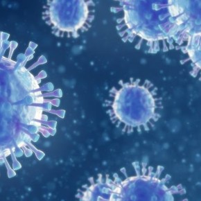 OMS pide intensificar medidas contra&nbsp;Covid-19