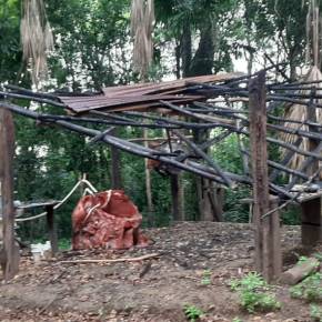 Destruyen puesto de control del Consejo Nacional de Áreas&nbsp;Protegidas