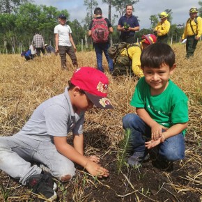 Día Mundial de la Educación&nbsp;Ambiental