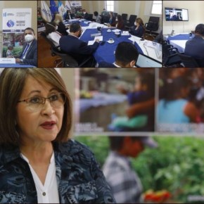 Aliados estratégicos a favor de la SAN de&nbsp;Guatemala