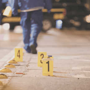 “Somos referente a nivel mundial en la disminución sostenida de&nbsp;homicidios”