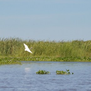 Ambientalistas hablan de los retos de Guatemala en&nbsp;Ambiente