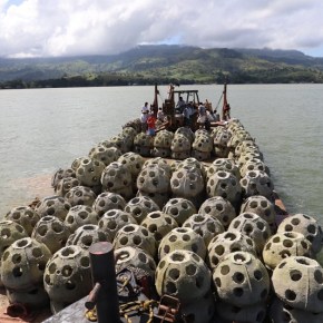 Arrecifes artificiales preservan los ecosistemas del Lago de&nbsp;Izabal