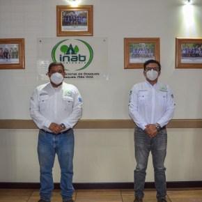 Se lanza el reto EMPRENDE BOSQUES&nbsp;2021