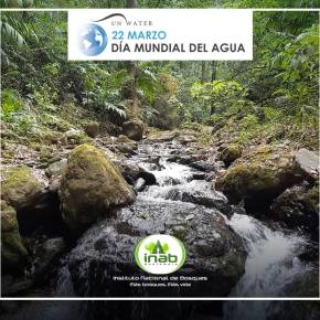 INAB se une a la conmemoración del Día Mundial del&nbsp;Agua