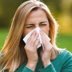 Contagios por coronavirus aumentan cuando hay más polen en el&nbsp;aire