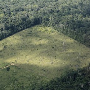 Países de la UE y la deforestación&nbsp;tropical