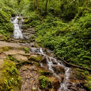 Las Áreas Protegidas en el Día de la&nbsp;Tierra