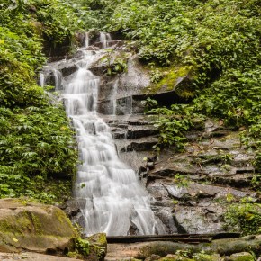 Parque Regional Municipal San Rafael Pie de La Cuesta «Refugio del&nbsp;Quetzal»