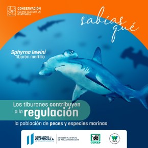 CONAP y WCS lanzan campaña para la “Conservación Marino Costera en&nbsp;Guatemala”