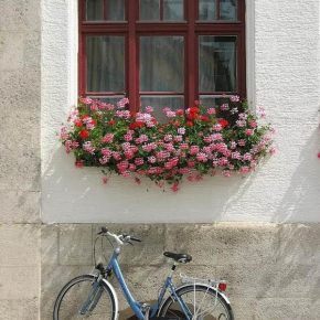 Día Mundial de la&nbsp;Bicicleta