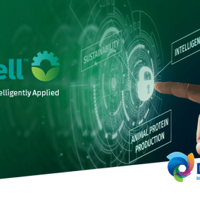 Sustell, servicio inteligente de&nbsp;sostenibilidad