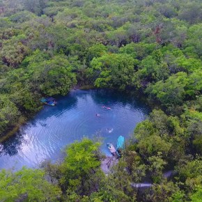 Día Internacional de los Bosques&nbsp;Tropicales