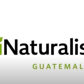 CONAP presenta iNaturalistGT