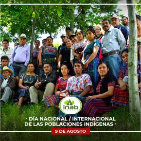 INAB destaca importancia de pueblos indígenas para el cuidado de los bosques 