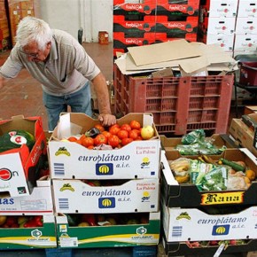 España busca detener el desperdicio de&nbsp;alimentos