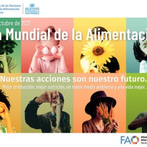 Día Mundial de la Alimentación, 16 de octubre   