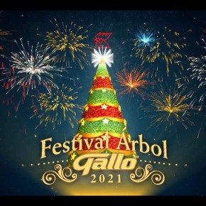 Árbol Gallo enciende lo mejor de&nbsp;ti