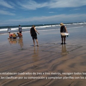 Iniciativa de ciencia ciudadana, busca dar respuesta al plástico que inunda playas del Pacífico&nbsp;latinoamericano