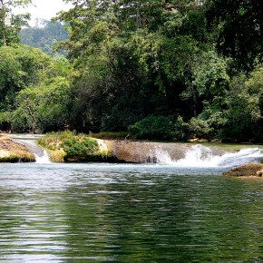 Gremio palmero de Guatemala protegiendo el medio&nbsp;ambiente