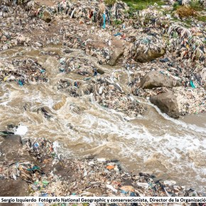 Día internacional «Libre de bolsas&nbsp;plásticas»