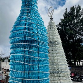 Árboles de vidrio, luces que iluminan la&nbsp;Navidad