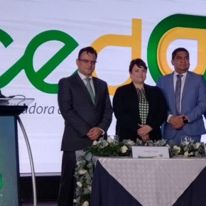 Grupo Magdalena proveerá 50MW de energía&nbsp;solar