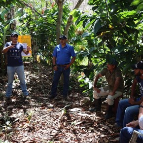 Rolando Cerda, investigador del CATIE, galardonado con el Premio de Cooperación Global en Tecnologías&nbsp;Agrícolas