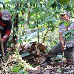 CATIE abre convocatoria para financiamiento de maestrías en Proyecto ESCALAR&nbsp;2024