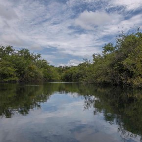 “Los humedales y el bienestar&nbsp;humano”