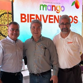 Productores de mango buscan fortalecer el fruto como motor de desarrollo económico y social de&nbsp;Guatemala