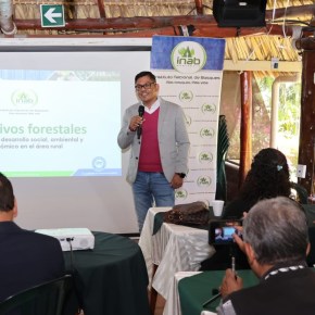 El INAB genera 22 mil 257 empleos en el área rural, a través del programa de incentivos&nbsp;forestales