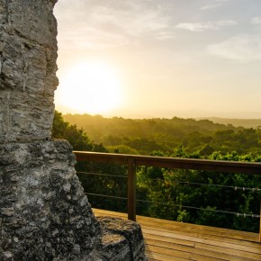 Bosques tropicales: el tesoro verde que sostiene la vida en&nbsp;Guatemala