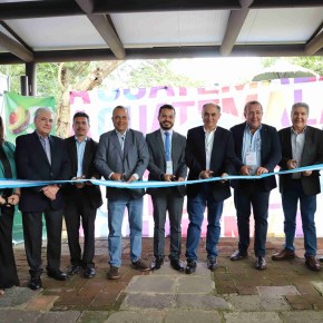 Guatemala se prepara para incorporar al aguacate a nuevos&nbsp;mercados