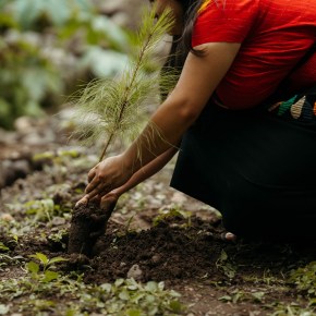 Ford abre puerta a proyectos verdes que transforman comunidades en&nbsp;Guatemala