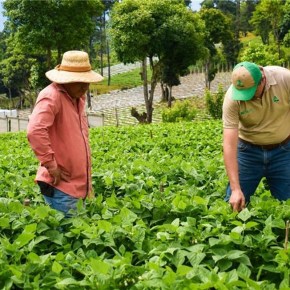 Foragro apuesta por la tecnificación agrícola para fortalecer las cosechas en&nbsp;Guatemala