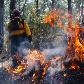 Guatemala enfrenta múltiples incendios forestales mientras autoridades refuerzan acciones de&nbsp;respuesta