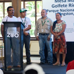 Guatemala presenta la Comisión Nacional de Manglares para proteger más de 22 mil&nbsp;hectáreas