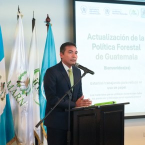 Guatemala inicia actualización de su Política Forestal vigente desde&nbsp;1999