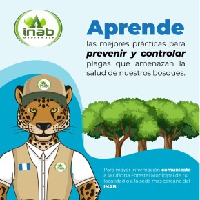 INAB llama a reportar árboles afectados por&nbsp;plagas